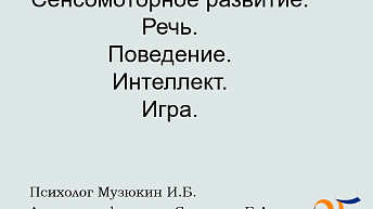 Запись вебинара "Сенсомоторное развитие. Состояние родителей и позиция специалистов" 2023.06.22